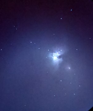 The cloud gases of Orion
